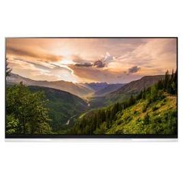 Tivi LG OLED Smart 4K 65 inch 65E9PTA